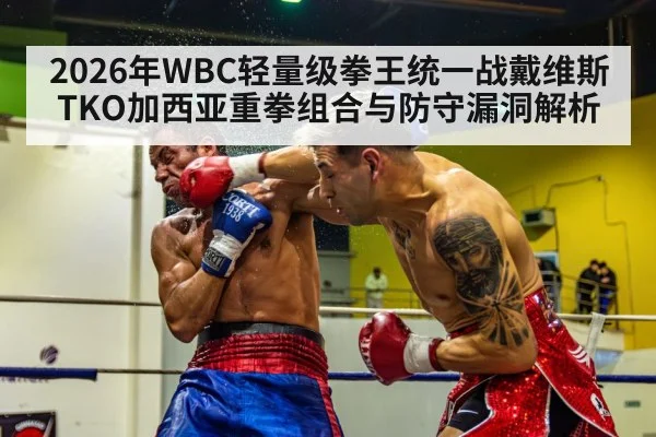 2026年WBC轻量级拳王统一战戴维斯TKO加西亚重拳组合与防守漏洞解析