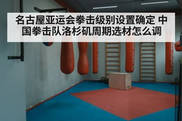 名古屋亚运会拳击级别设置确定 中国拳击队洛杉矶周期选材怎么调